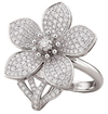 Ring 1